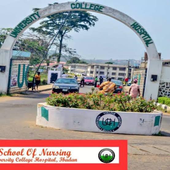 1fe1c362-0403-4d34-8910-7f109881ed85